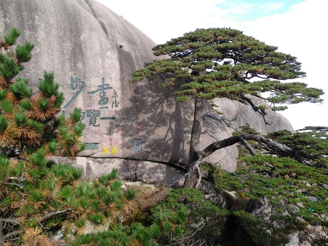 日登黃山，夜醉溫泉！